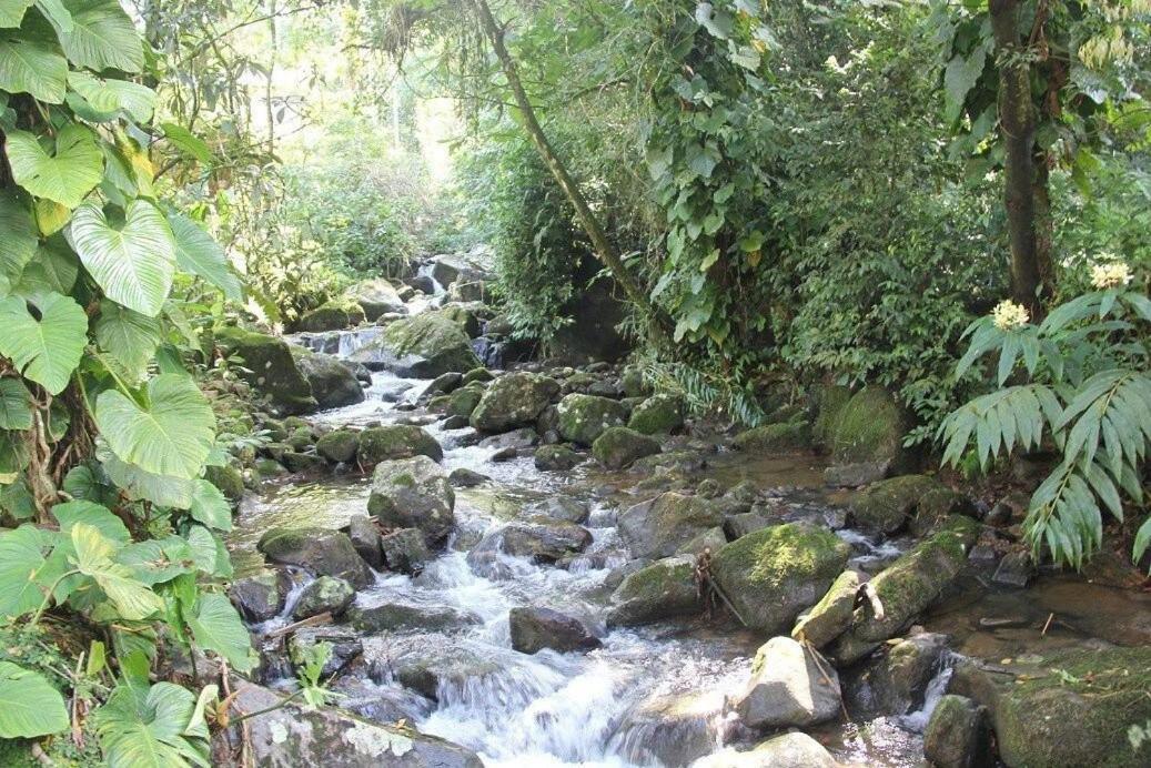 Refúgio romântico em meio à natureza Penedo  Extérieur photo