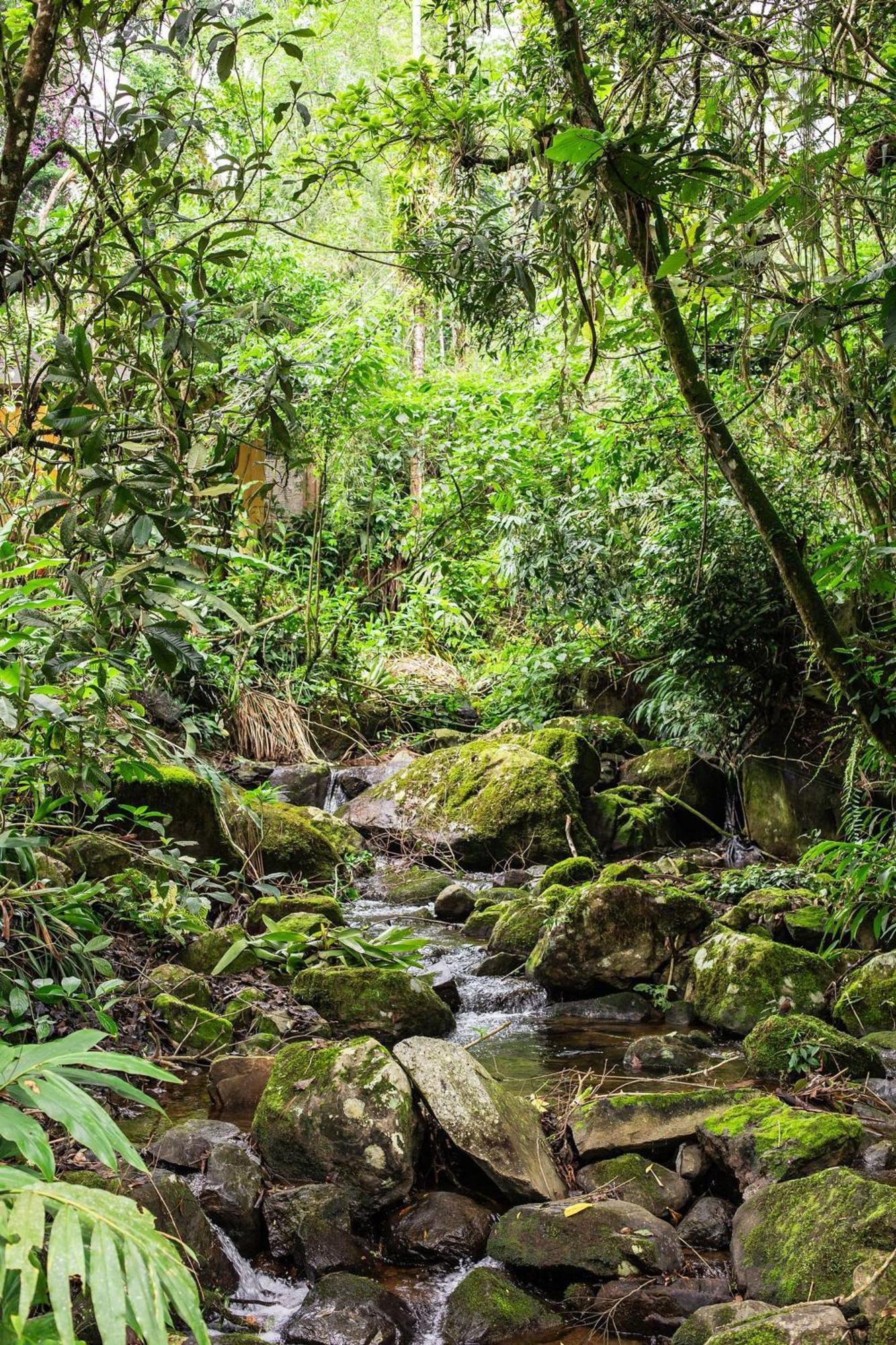 Refúgio romântico em meio à natureza Penedo  Extérieur photo